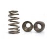 Dominator valve springs