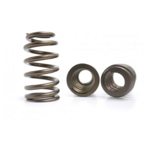Dominator valve springs