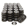 Dominator Valve springs with Titanium retainers