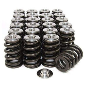 Dominator Valve springs with Titanium retainers
