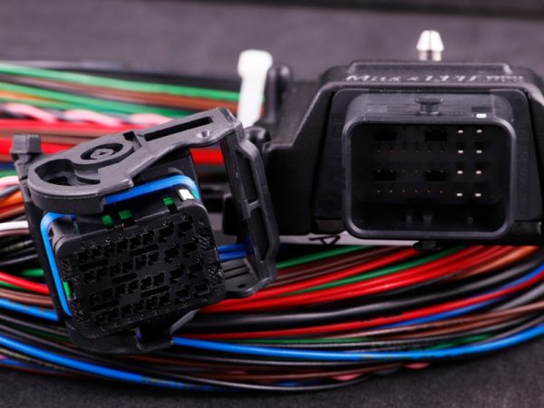 MaxxECU MINI STANDARD (ECU, harness and accessories) - Image 4
